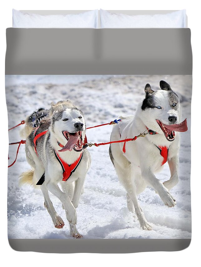 Action Duvet Cover featuring the photograph A husky sled dog team at work by Elenarts - Elena Duvernay photo