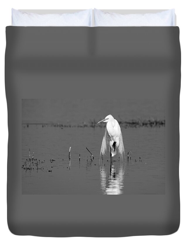 Elegance Duvet Cover featuring the photograph Elegance -- Great Egret in Merced National Wildlife Refuge, California by Darin Volpe
