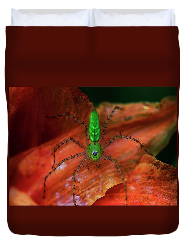 Spider Duvet Cover featuring the photograph A Little Creepy Crawler by Mike Eingle