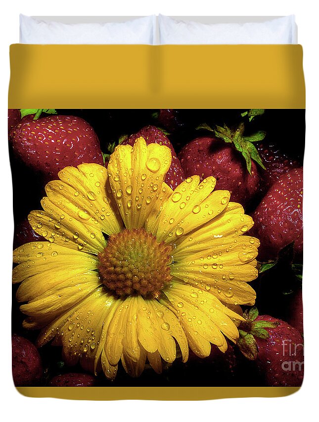 Daisy Duvet Cover featuring the photograph A Little Sunshine In The Morning by Michael Eingle