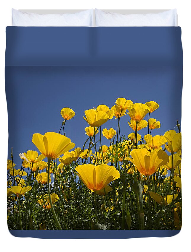 Face Mask Duvet Cover featuring the photograph A Little Sunshine by Lucinda Walter