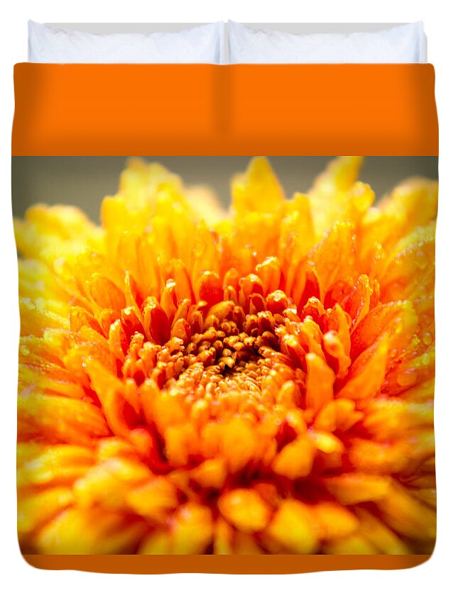 Duke Gardens Duvet Cover featuring the photograph A little time to think things over by Wade Brooks