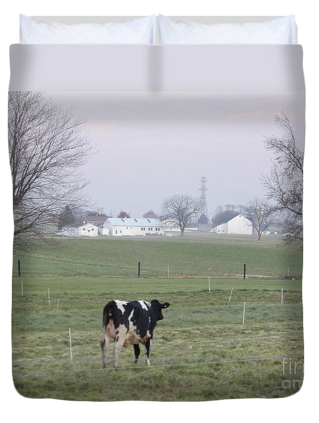Amish Duvet Cover featuring the photograph A Lone Cow on the Farm by Christine Clark