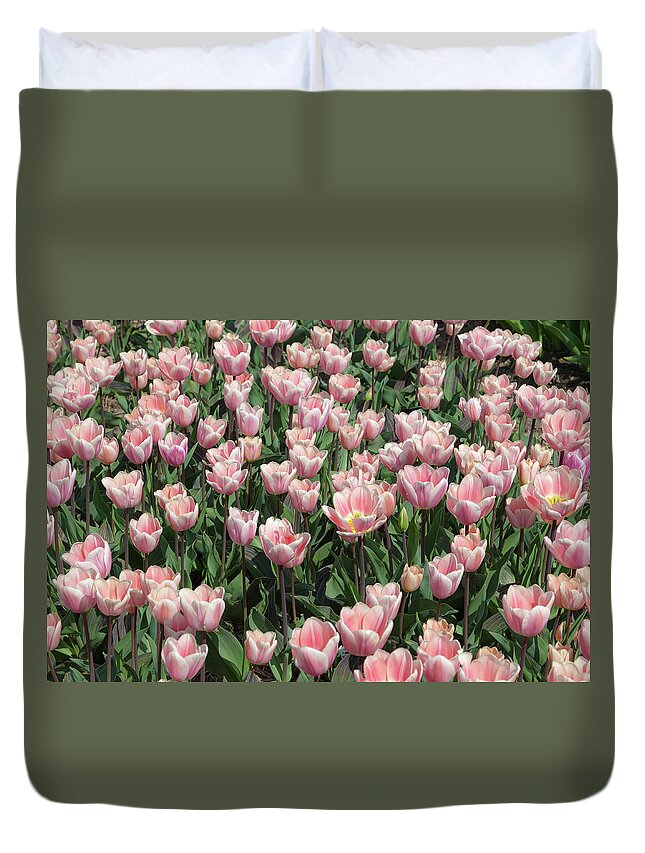 Tulip Duvet Cover featuring the photograph A lot of pink tulips by Tim Abeln