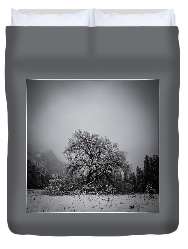 Tree Duvet Cover featuring the photograph A magic tree by Lora Lee Chapman