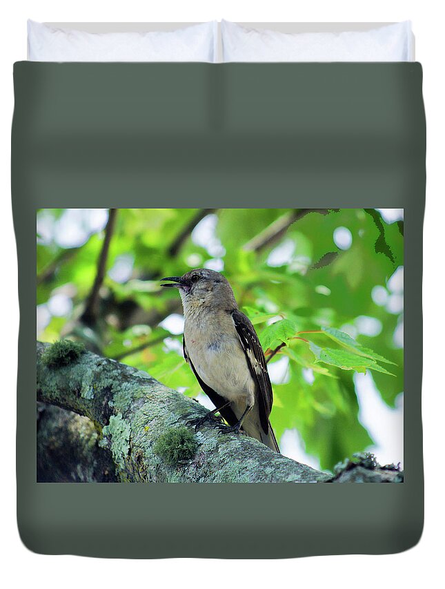  Northern Male Mockingbirds Duvet Cover featuring the photograph A Mockingbird Song by M Three Photos