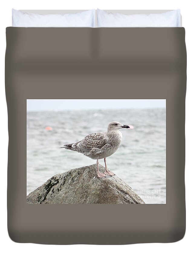 Gull Duvet Cover featuring the photograph A moment of rest by Karin Ravasio