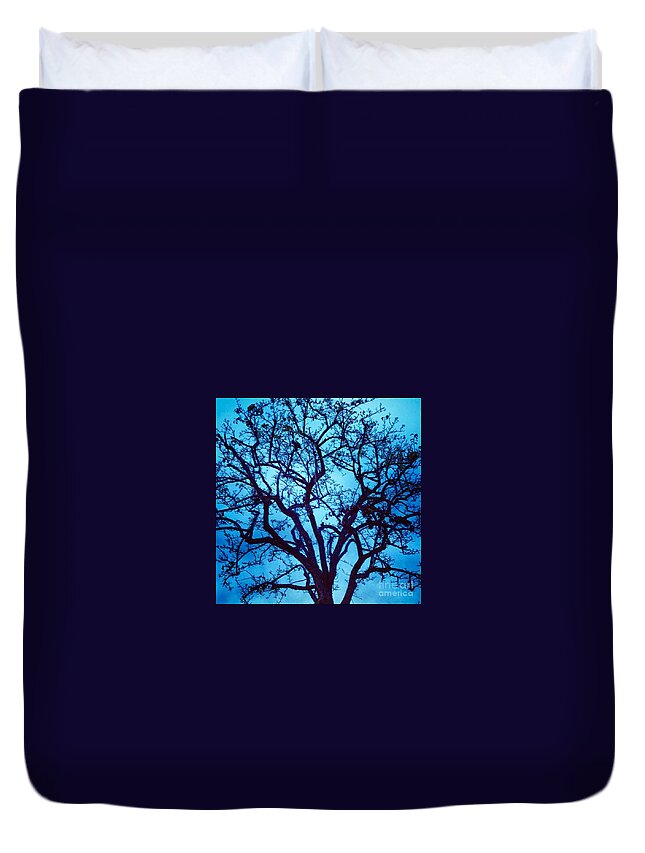 Tree Duvet Cover featuring the photograph A Moody Broad by Denise Railey
