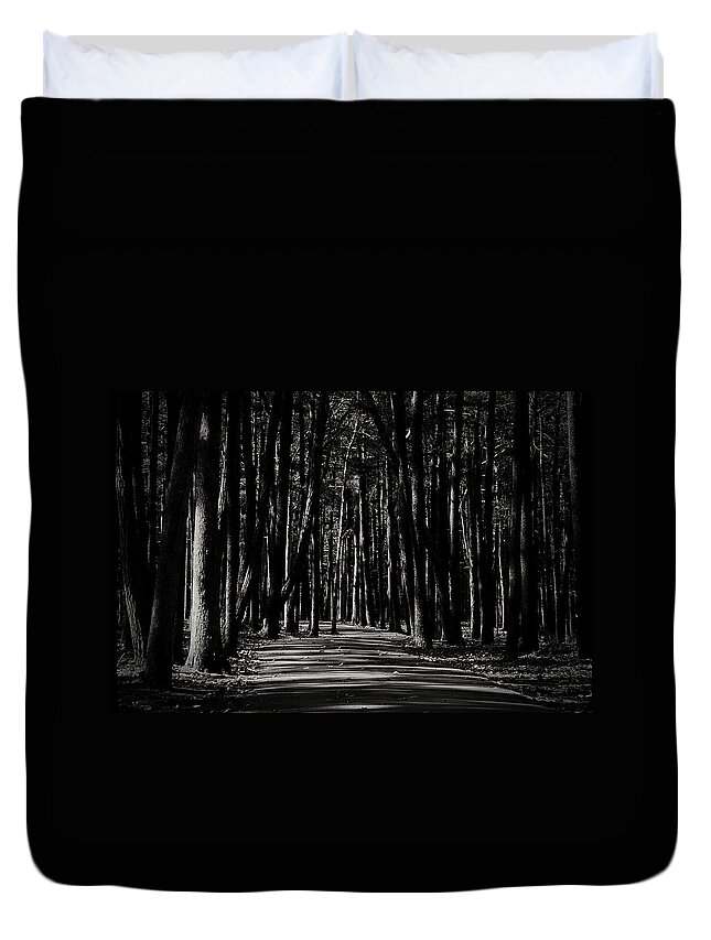 Nature Duvet Cover featuring the photograph A Path into Light and Darkness by Angie Tirado