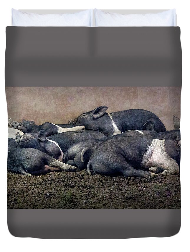 Pig Duvet Cover featuring the photograph A Pile Of Pampered Piglets by Endre Balogh