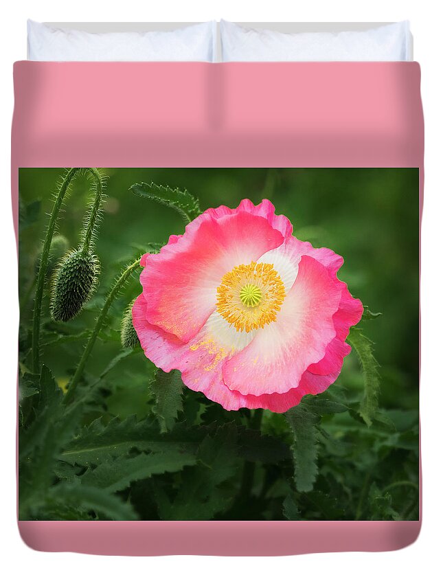 Poppy Duvet Cover featuring the photograph A pink poppy portrait. by Usha Peddamatham