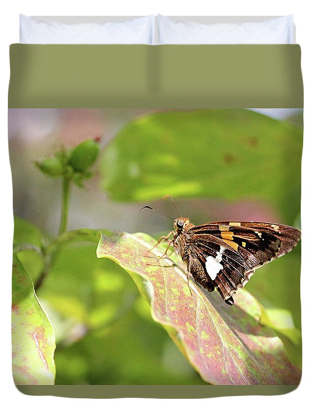 Butterfly Duvet Cover featuring the photograph A Place of Rest by Trina Ansel