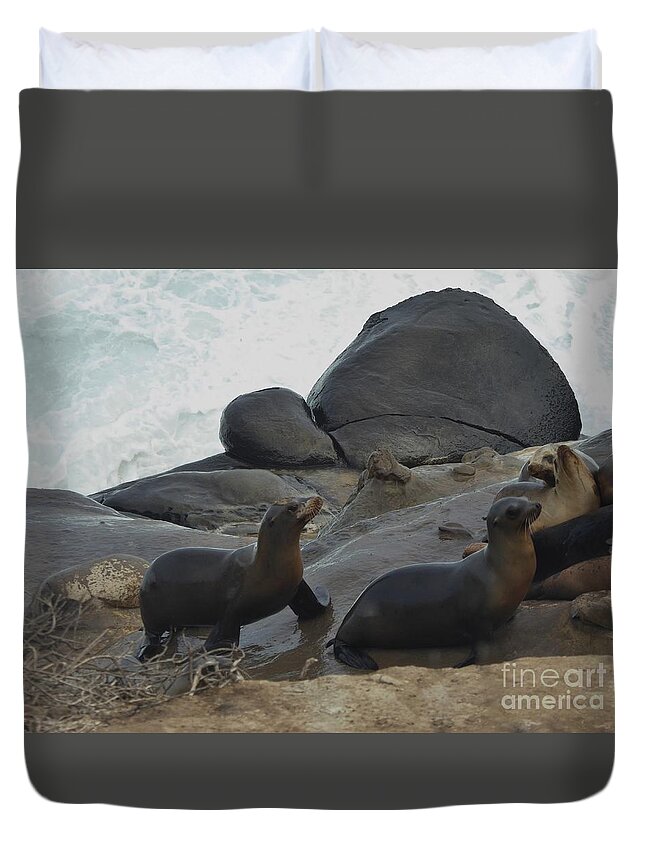 Seals Duvet Cover featuring the photograph A prehistoric moment by Nili Tochner