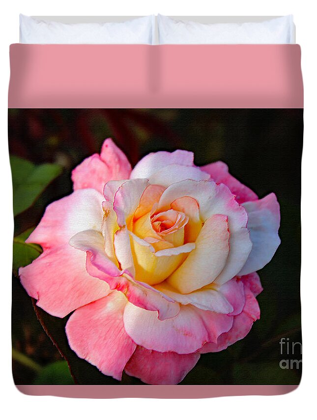 Art Duvet Cover featuring the photograph A Rose For You by DB Hayes