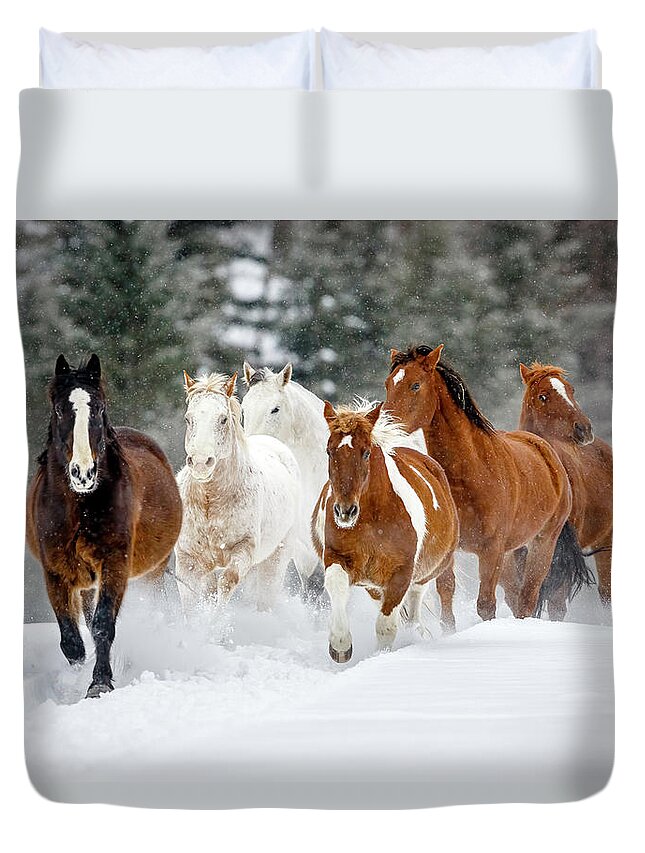 Horses Duvet Cover featuring the photograph A Run through the Snow by Jack Bell