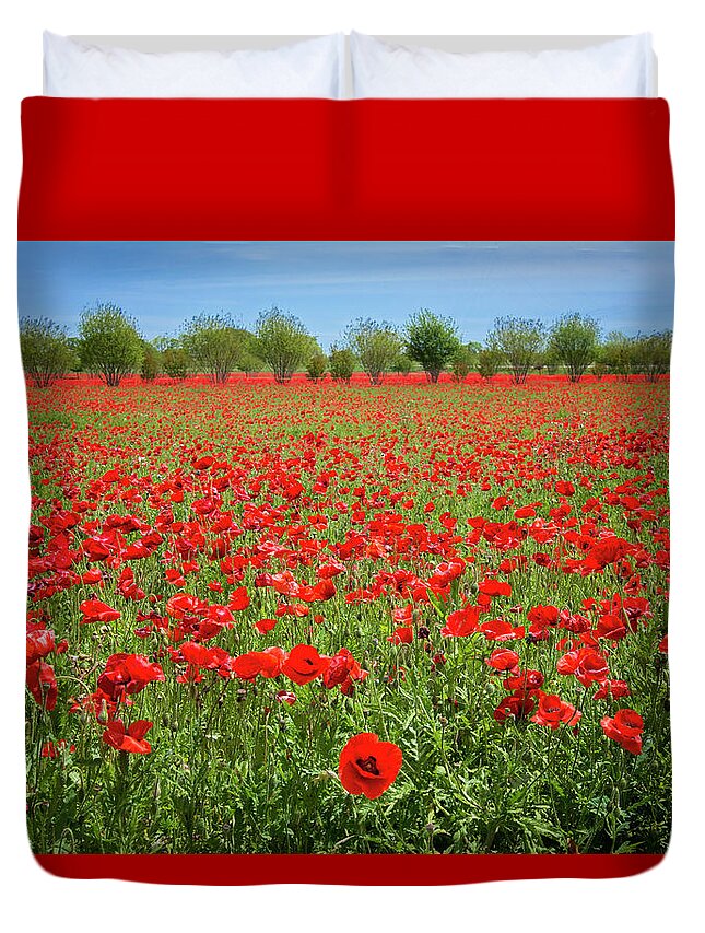 Red Poppies Duvet Cover featuring the photograph A Sea of Texas Red Corn Poppies by Lynn Bauer