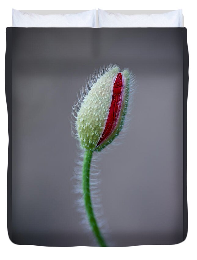 Poppy Duvet Cover featuring the photograph A Shot at Life by Lara Morrison