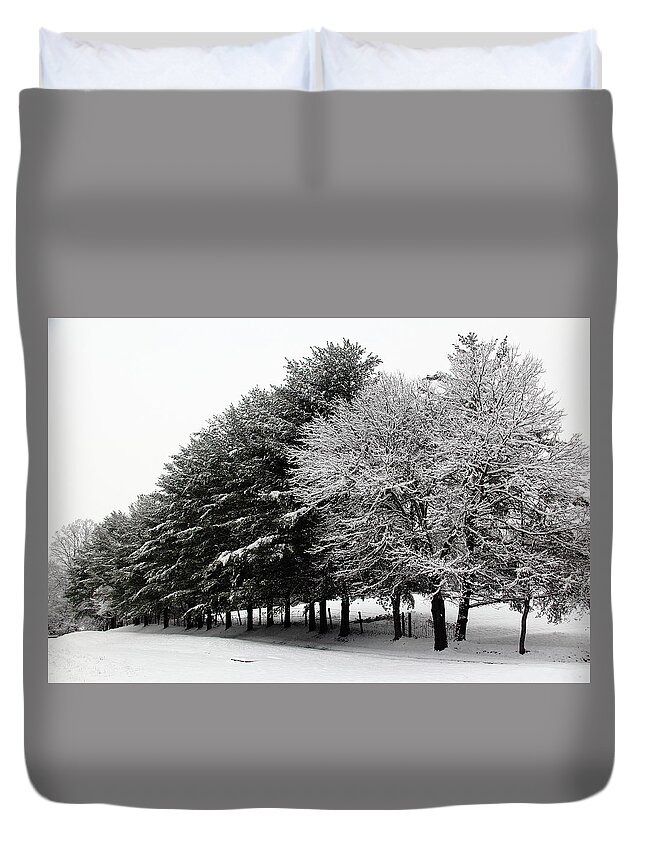 Snow Duvet Cover featuring the photograph A Snowy Day by Allen Nice-Webb
