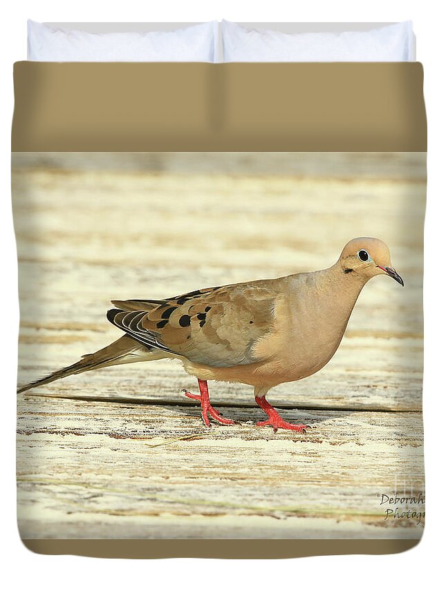 Dove Duvet Cover featuring the photograph A Stroll on the Boardwalk by Deborah Benoit