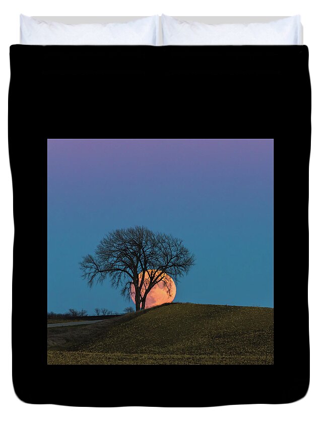 Big Tree Duvet Cover featuring the photograph A Super Evening by Penny Meyers