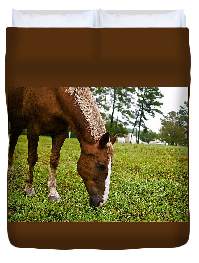 Horse Duvet Cover featuring the photograph A Sweet September by Lara Morrison