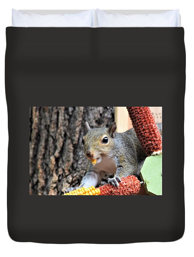 Squirrel Duvet Cover featuring the photograph A Tasty Morsel by Mary Ann Artz