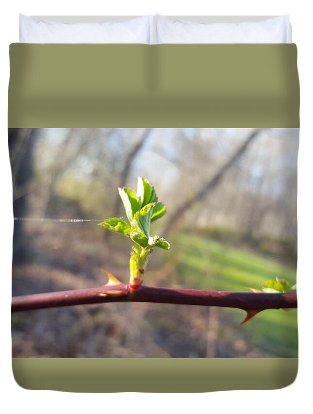 Plant Duvet Cover featuring the photograph A Thread and a Thorn by Dani McEvoy