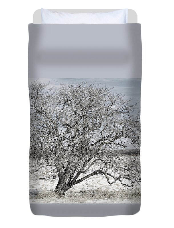 Tucker County Duvet Cover featuring the photograph A Tree In Canaan by Randy Bodkins