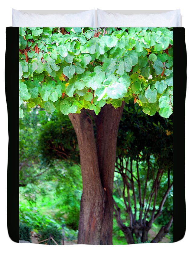 Tree Duvet Cover featuring the photograph A Tree Lovelier Than A Poem by Madeline Ellis
