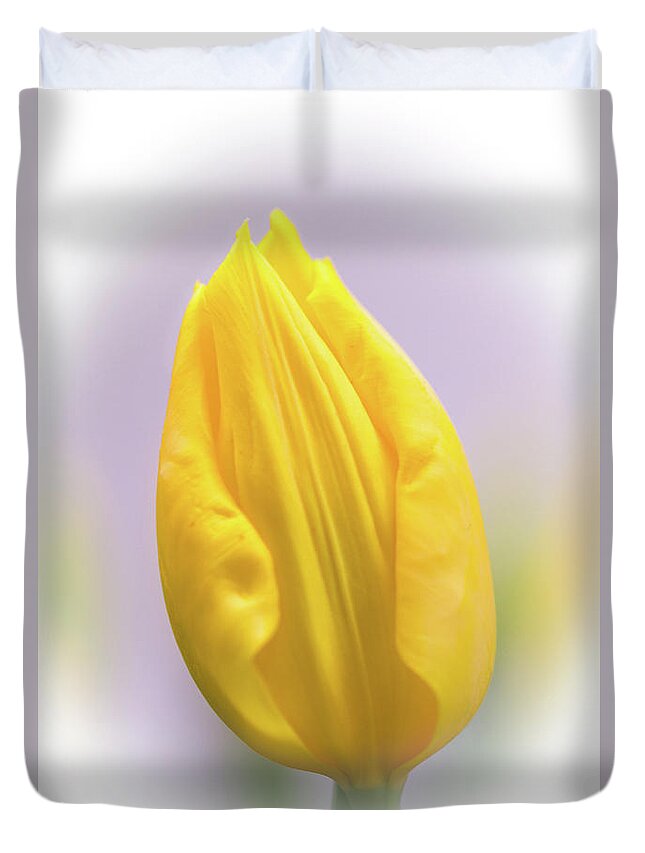Tulip Duvet Cover featuring the photograph A Tulip in Dandelion Yellow by Carol Senske