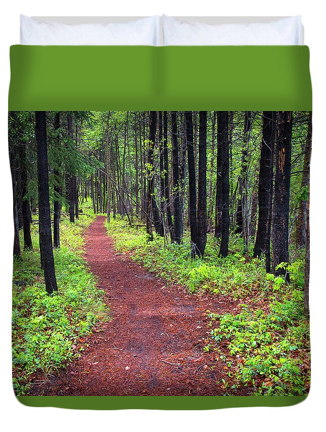 Forest Duvet Cover featuring the photograph A walk in the Forest by Bill Cubitt