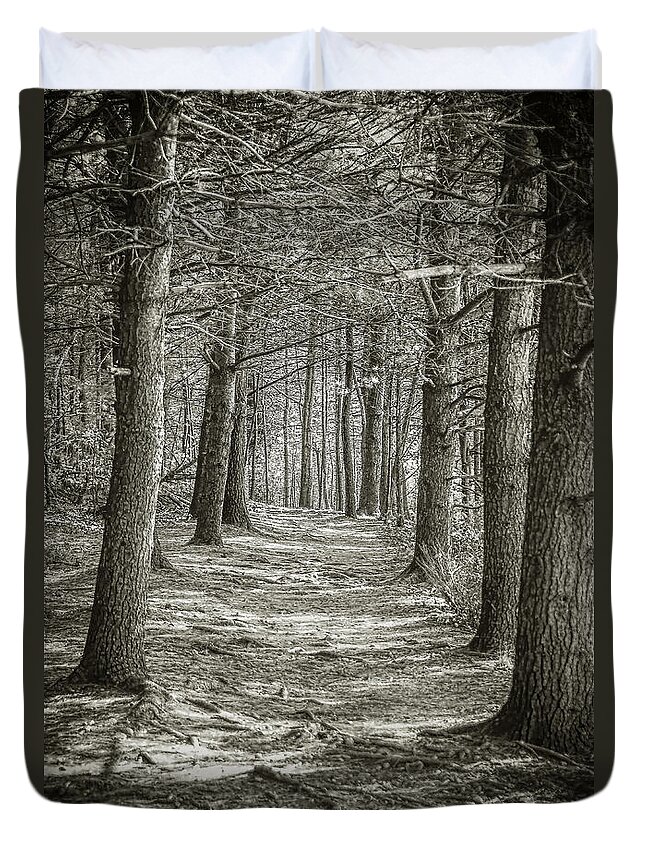 Walden Duvet Cover featuring the photograph A Walk in Walden Woods by Ike Krieger