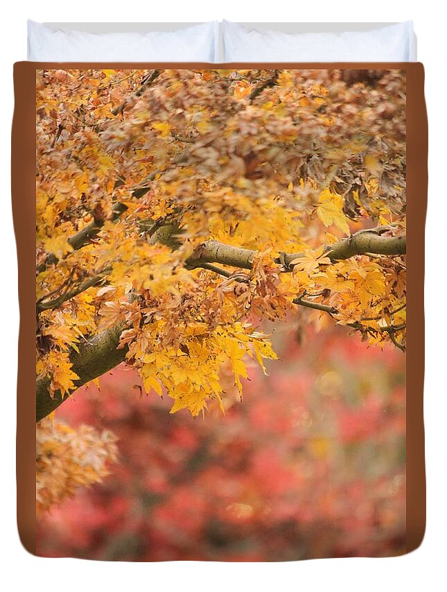 Autumn Duvet Cover featuring the photograph A Walk Through Autumn by Amy Gallagher