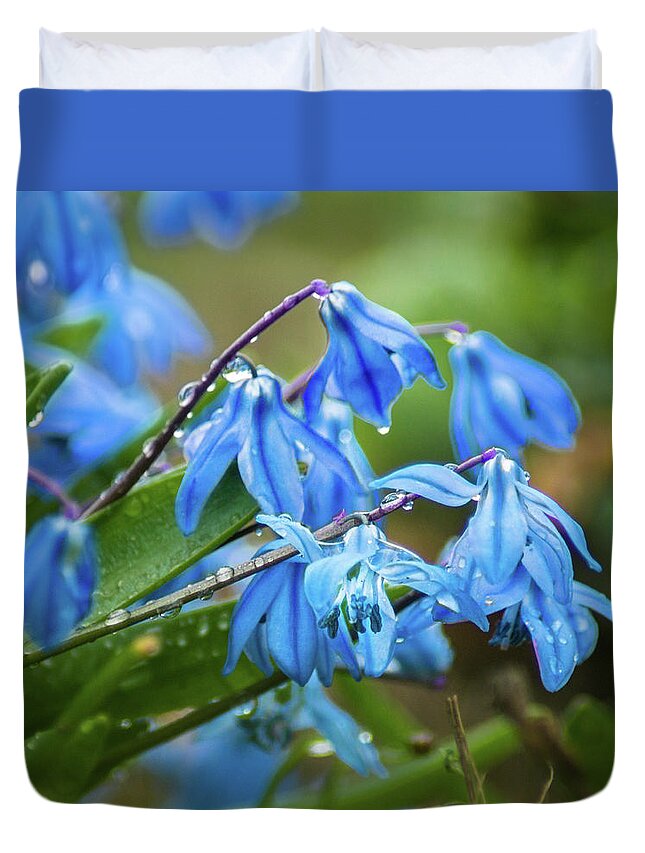 Blue Duvet Cover featuring the photograph A Wet Spring by Bill Pevlor