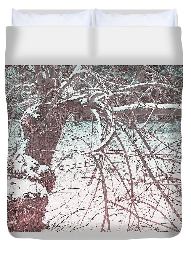 A Winter Tree By Marina Usmanskaya Duvet Cover featuring the photograph A winter Tree by Marina Usmanskaya