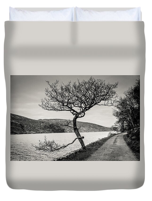 A Winter Tree Duvet Cover featuring the photograph A Winter tree by Martina Fagan