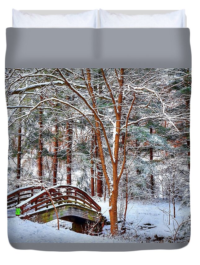 Botanical Gardens Asheville North Carolina Duvet Cover featuring the photograph A Winters Painting by Carol Montoya