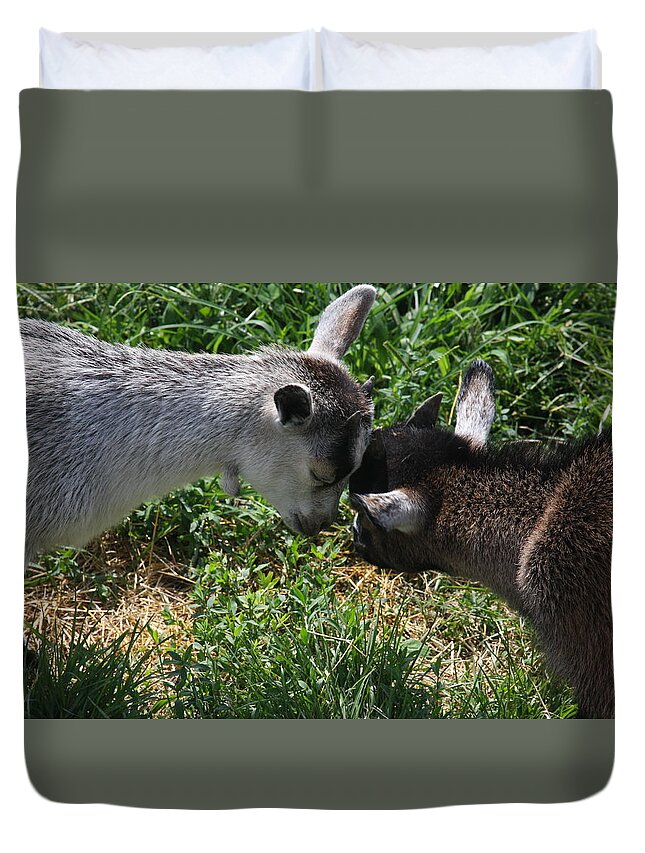 Humor Duvet Cover featuring the photograph A Wisdom of the Head? by Vadim Levin