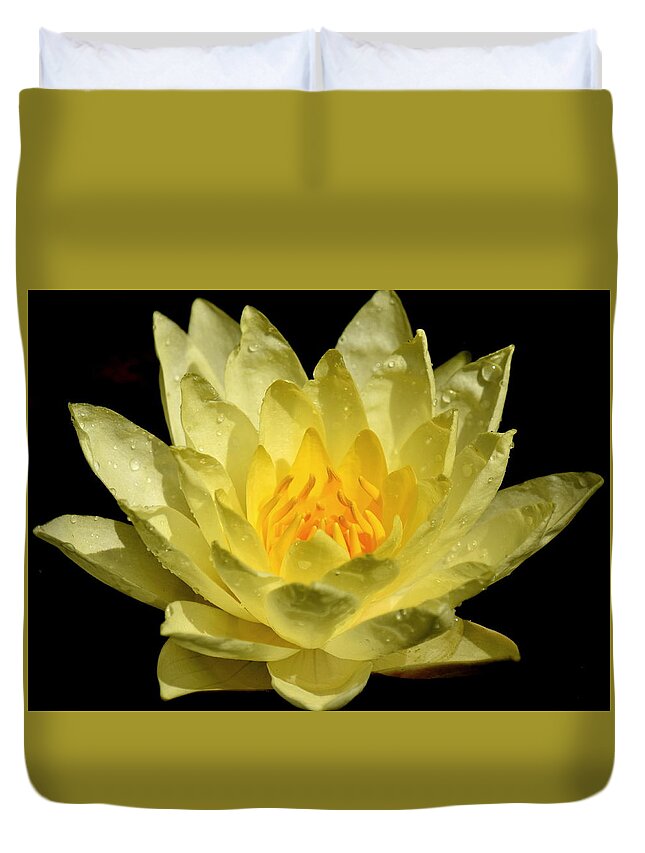 Water Lily Duvet Cover featuring the photograph A Yellow Water Lily in August by Gregory Strong