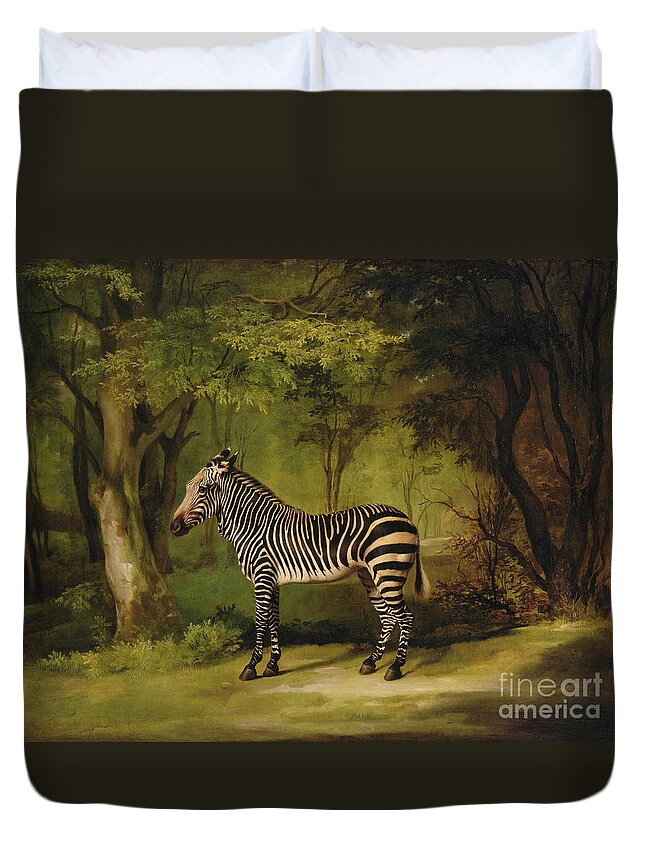 A Zebra Duvet Cover For Sale By George Stubbs