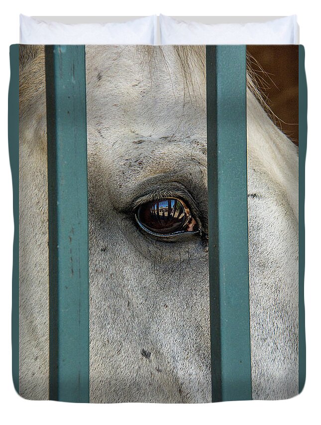 Horse Duvet Cover featuring the photograph Abigail by Pamela Williams
