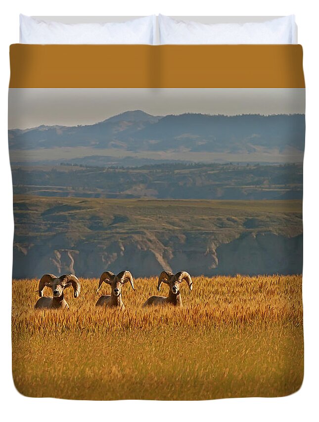 Big Horn Rams Duvet Cover featuring the photograph Above The Breaks-Signed-#9386 by J L Woody Wooden