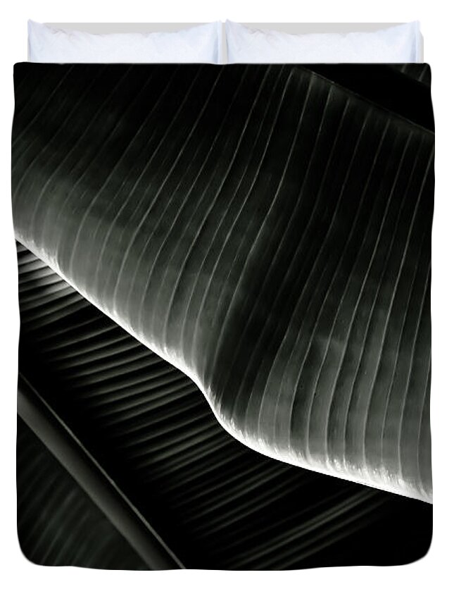Banana Duvet Cover featuring the photograph Abstract banana Leaf by Yurix Sardinelly