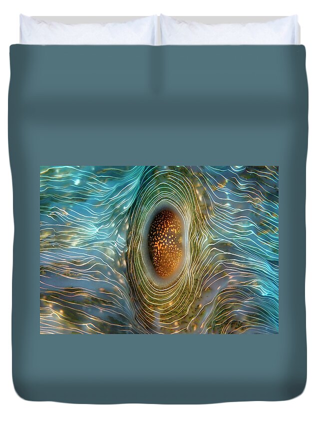 Abstract Duvet Cover featuring the photograph Abstract clam by Artesub