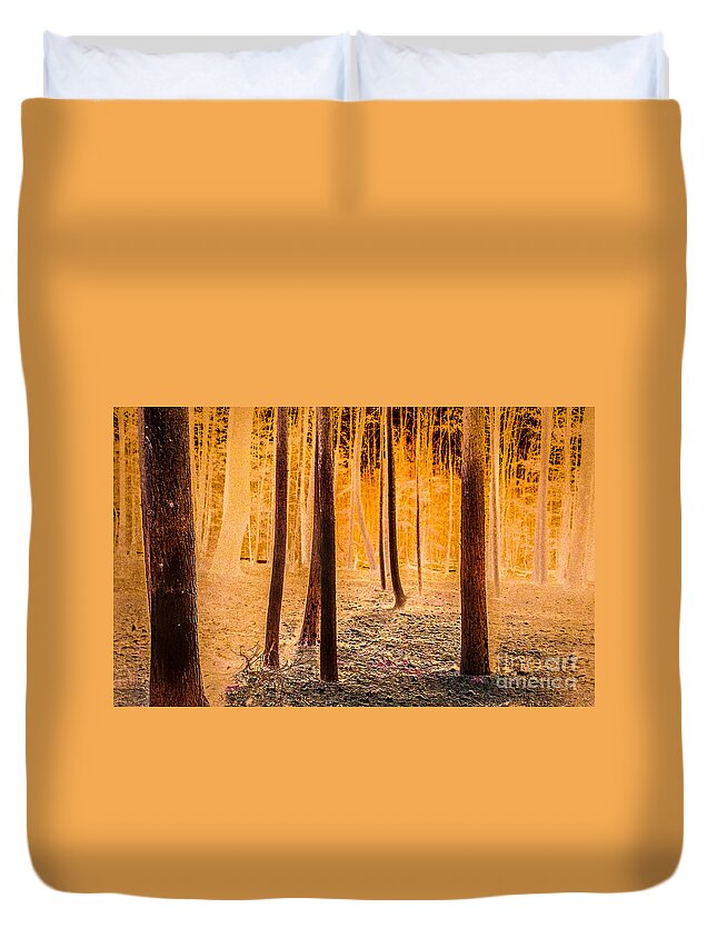 Abstract Duvet Cover featuring the photograph Abstract forest at night by Claudia M Photography