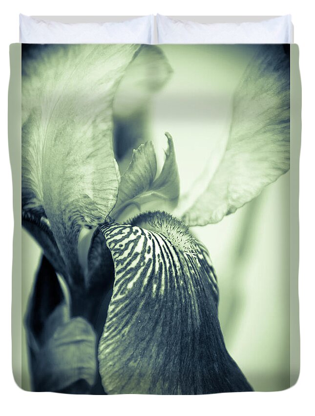 Iris Duvet Cover featuring the photograph Abstract Japanese Iris Delight Botanical / Nature / Floral Photograph by PIPA Fine Art - Simply Solid