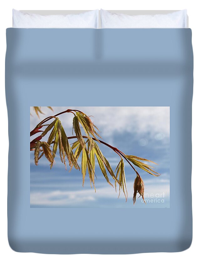 Acer Duvet Cover featuring the photograph Acer by Richard Brookes