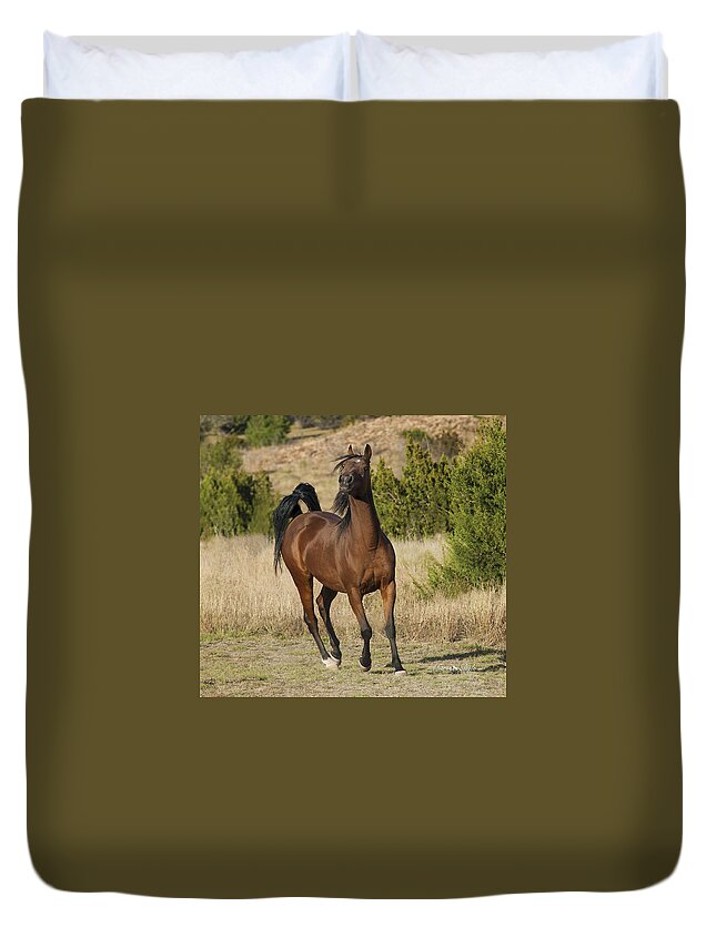 Horse Duvet Cover featuring the photograph Acting Silly by Karen Slagle