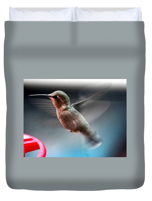 Animal Duvet Cover featuring the photograph Adolecent Female Anna's In Flight by Jay Milo