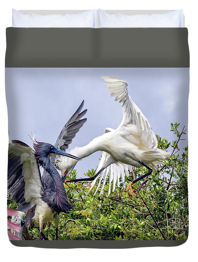 Egrets Duvet Cover featuring the photograph Aerial Battle Between Tricolored Heron and Snowy Egret by DB Hayes